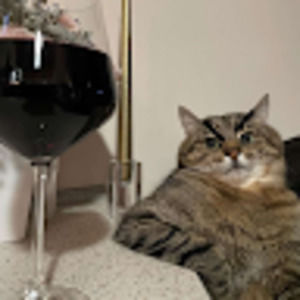 Meet your Posher, Kailyn